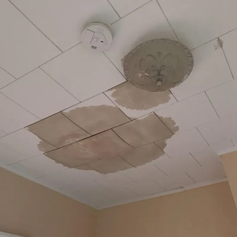 Ceiling Water Damage Repair in Portage Park, IL