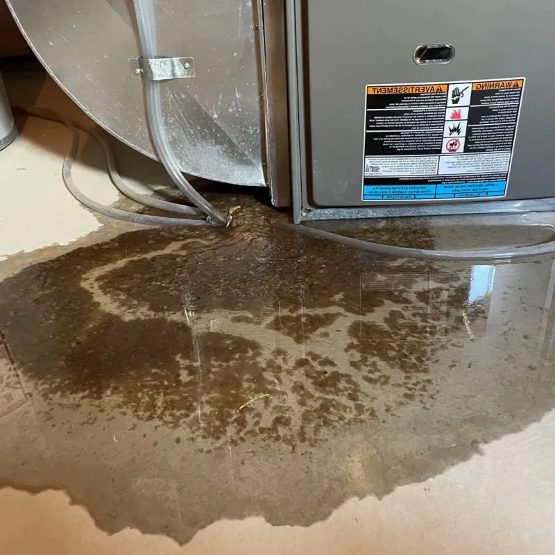 Pipe Burst and Leak Restoration in Portage Park, IL